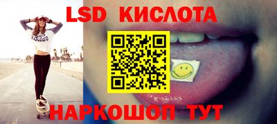 дмт Гусев