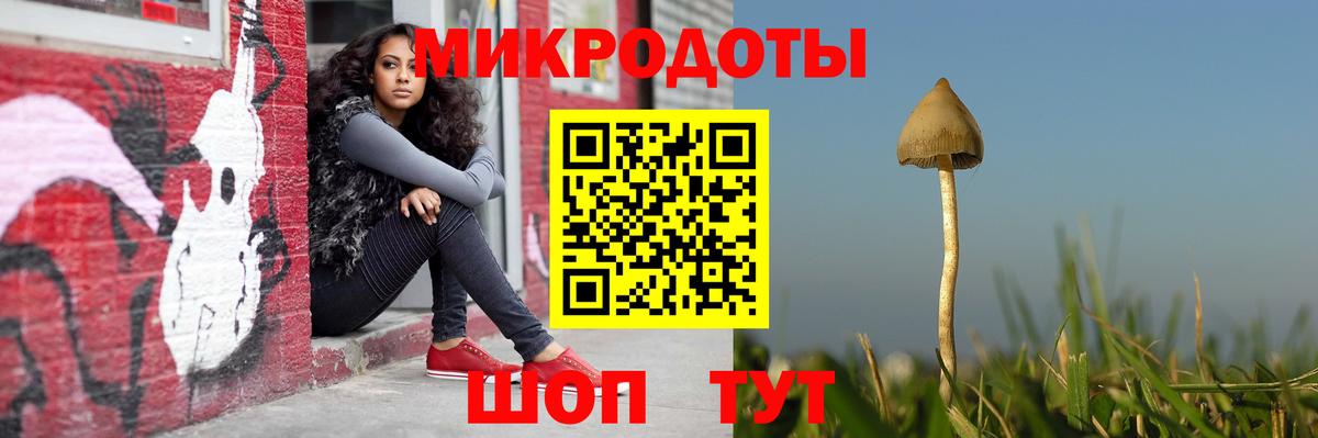 Псилоцибиновые грибы мицелий Джанкой